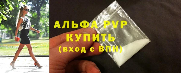 PSILOCYBIN Бронницы