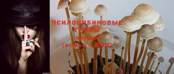 мдма Верхний Тагил