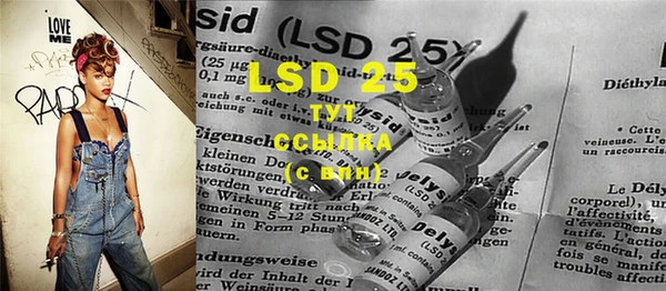 PSILOCYBIN Бронницы