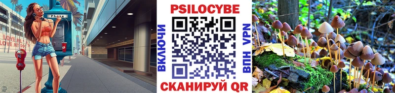 OMG онион Кстово Псилоцибиновые грибы GOLDEN TEACHER